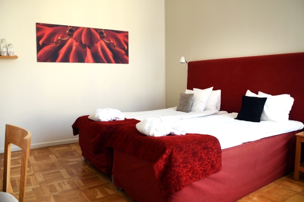Hotel Valdemars Riga